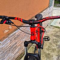 Wheelie bike 29 pollici TG M
