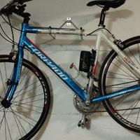 Bici da passeggio Torpado