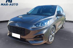 Ford Kuga 1.5 EcoBlue 120 CV aut. 2WD ST-Line