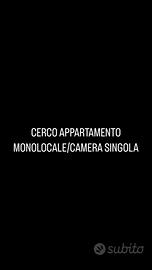 C.e.r.c.o per studentessa