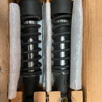 Progressive suspension