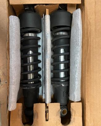 Progressive suspension