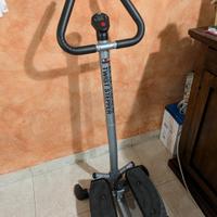 Twist Stepper Body Sculpture