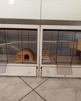casetta per criceto 