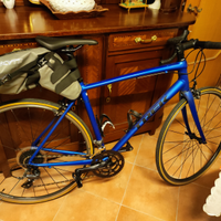 Trek Domane AL 2
