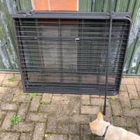 Gabbia per animali