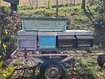 arnie topbar e arnie classiche