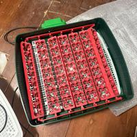 Incubatrice river 49