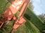 Immagine 6