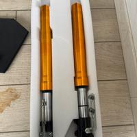 Sospensioni ohvale gp0
