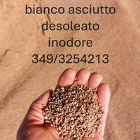 Nocciolino desoleato 15€/quintale