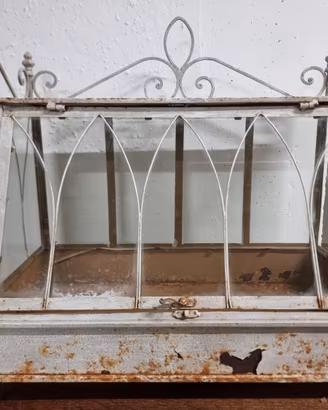 Antica serra terrarium da tavolo in ferro e vetro
