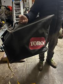 Toro prostripe 560