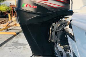 Mercury f 40 hp pro efi 4 cyl