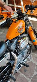 Harley Davidson 883 hugger ASI 