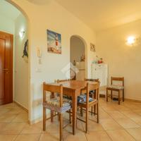 2 LOCALI A OLBIA