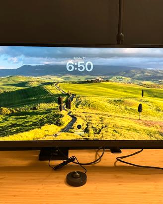 Monitor Benq PD3420Q