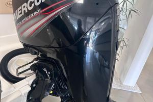 Usato motore fuoribordo Mercury F115 CT 190 ore