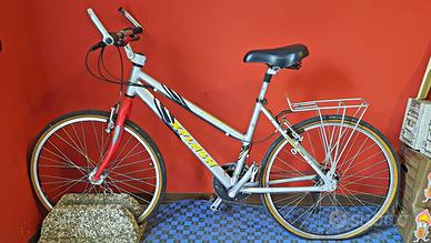 Mountain bike da donna modificata - Da revisionare