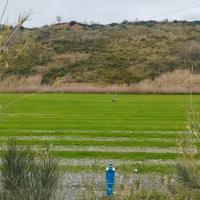 Vendita terreno agricolo