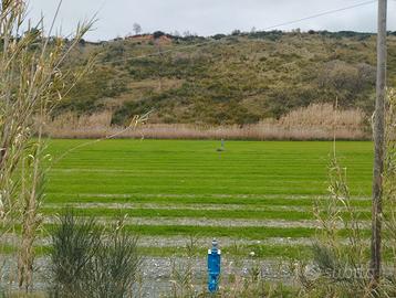 Vendita terreno agricolo