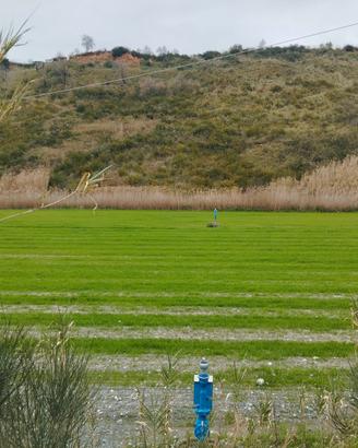 Vendita terreno agricolo