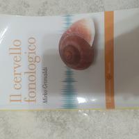 libro Il cervello fonologico