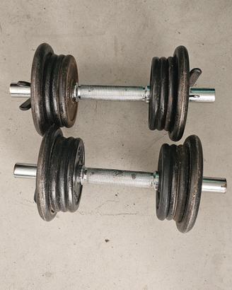 2 Manubri con 10 kg di pesi