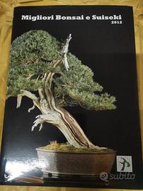 catalogo ubi bonsai 