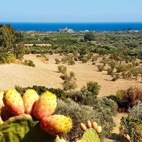 Due stanze per una famiglia in Casale