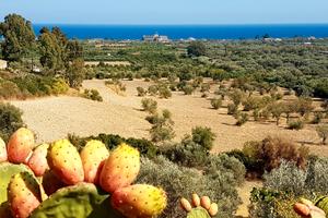 Due stanze per una famiglia in Casale