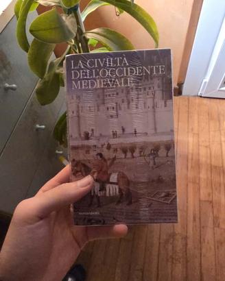 Meridiani, i classici della storia. Le Goff NUOVO