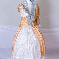 Costume Dama la corte di Francia