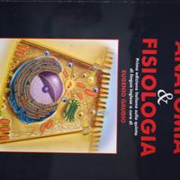 Saladin, anatomia e fisiologia