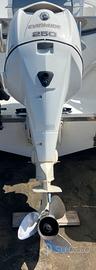 Motore evinrude etec 250cv