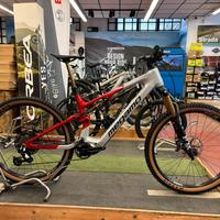 ebike MEGAMO REASON AL 03 AVINOX M1 DJI 800wh tg L