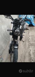 benelli leoncino 500
