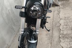 benelli leoncino 500
