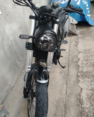 benelli leoncino 500