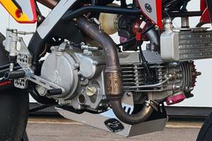 Flamingo Engine CNV (YX 160)