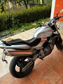 Honda Hornet 600 2004