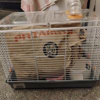 Gabbia criceti con accessori 