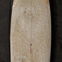 Christenson C-Hawk (Pukas Pegaso) Fish