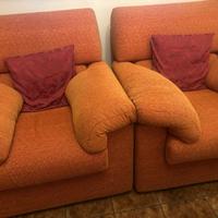 Due Poltrone da soggiorno