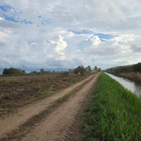Terreno 6 ettari vicino al lago Lesina