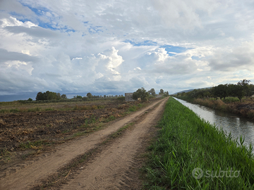 Terreno 6 ettari vicino al lago Lesina