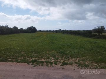 Terreno agricolo Sinnai