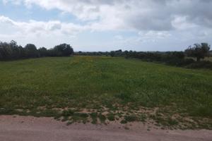 Terreno agricolo Sinnai