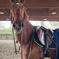 S.I. per passeggiate e principianti