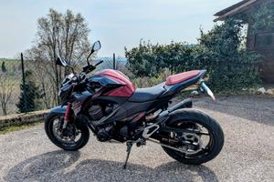 Kawasaki Z800 Sugomi